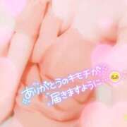 ヒメ日記 2025/03/16 10:29 投稿 ひな 香川高松ちゃんこ