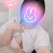 ヒメ日記 2025/07/05 16:09 投稿 ひな 香川高松ちゃんこ