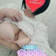 ヒメ日記 2025/08/14 08:09 投稿 ひな 香川高松ちゃんこ