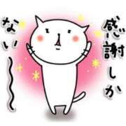 ヒメ日記 2025/08/24 00:39 投稿 ひな 香川高松ちゃんこ