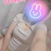 ヒメ日記 2025/09/14 09:39 投稿 ひな 香川高松ちゃんこ