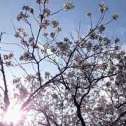 ヒメ日記 2025/04/15 22:16 投稿 城田真奈 五十路マダム 郡山店