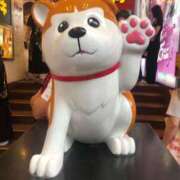 ヒメ日記 2025/12/19 18:45 投稿 ゆりか イメクラ土浦女学園