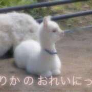 ヒメ日記 2026/03/14 01:25 投稿 ゆりか イメクラ土浦女学園