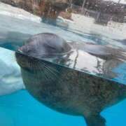 ヒメ日記 2025/02/01 00:05 投稿 えれん チューリップ福井本館