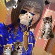 ヒメ日記 2025/06/23 21:24 投稿 えれん チューリップ福井本館