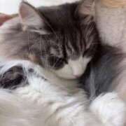 ヒメ日記 2025/11/26 18:13 投稿 るあ 熟女家 豊中蛍池店