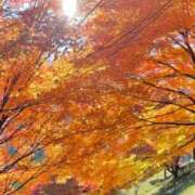 ヒメ日記 2025/11/08 09:02 投稿 みほ 松本人妻隊