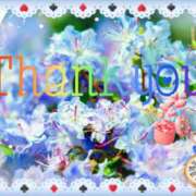 ヒメ日記 2025/11/11 17:05 投稿 みほ 松本人妻隊