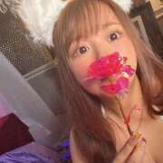 ヒメ日記 2025/03/19 20:54 投稿 すず チューリップ福井本館