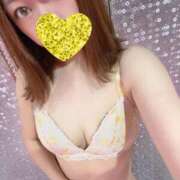 ひかり 残り2日 チューリップ福井本館