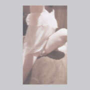 さゆき 待機してます 禁妻～禁じられた妻～