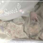 ヒメ日記 2025/10/23 13:37 投稿 のん 白いぽっちゃりさん錦糸町店