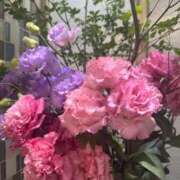 ヒメ日記 2026/03/21 03:19 投稿 ここな 東京アロマスタイル