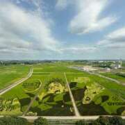 ヒメ日記 2025/09/09 11:54 投稿 桑田(くわた) 八王子人妻城