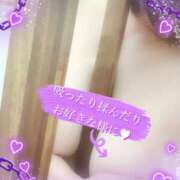 新見智佐 今回の 五十路マダムエクスプレス豊橋店（カサブランカグループ）