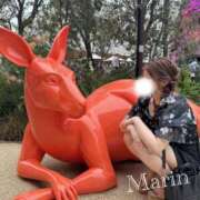 ヒメ日記 2025/07/26 10:49 投稿 まりん　当店イチオシ最高級美女 よかろうもん下関本店