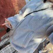 ヒメ日記 2025/01/28 14:10 投稿 あすな 新橋ラズベリードール