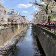 ヒメ日記 2025/04/13 20:30 投稿 あすな 新橋ラズベリードール