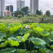 ヒメ日記 2025/08/04 12:34 投稿 あすな 新橋ラズベリードール