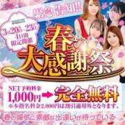 ヒメ日記 2025/03/20 06:20 投稿 みんと チューリップ姫路店