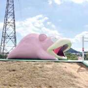 ヒメ日記 2025/03/31 20:20 投稿 みんと チューリップ姫路店