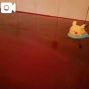 ヒメ日記 2025/11/08 11:10 投稿 みんと チューリップ姫路店