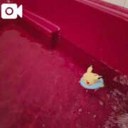 ヒメ日記 2025/11/26 11:10 投稿 みんと チューリップ姫路店