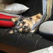 ヒメ日記 2025/01/21 11:25 投稿 けい 熟女の風俗最終章 八王子店