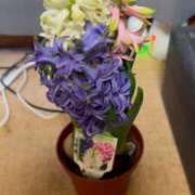 ヒメ日記 2026/02/09 11:33 投稿 けい 熟女の風俗最終章 八王子店