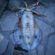 ヒメ日記 2025/03/27 17:24 投稿 けい 熟女の風俗最終章 所沢店