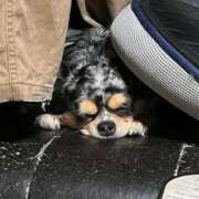 ヒメ日記 2024/12/13 16:53 投稿 けい 熟女の風俗最終章 立川店