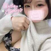 ヒメ日記 2025/01/27 11:32 投稿 もか 横浜コスプレデビュー（シンデレラグループ）