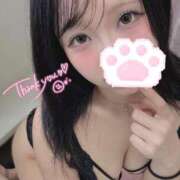 ヒメ日記 2025/06/27 12:20 投稿 もか 横浜コスプレデビュー（シンデレラグループ）