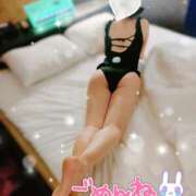 ヒメ日記 2024/12/23 23:07 投稿 夏野ほたる 大人めシンデレラ 新横浜店（シンデレラグループ）