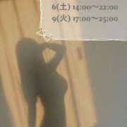 ルル ?12月前半予定? エピソード(品川)