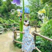 ヒメ日記 2025/06/04 01:16 投稿 マナツ エピソード(品川)