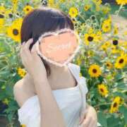 ヒメ日記 2025/08/24 00:46 投稿 マナツ エピソード(品川)