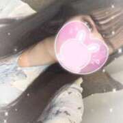 ヒメ日記 2025/04/07 01:31 投稿 ミホ エピソード(品川)