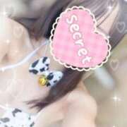 ヒメ日記 2025/04/22 02:46 投稿 ミホ エピソード(品川)