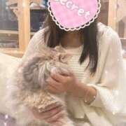 ヒメ日記 2025/04/23 15:01 投稿 ミホ エピソード(品川)