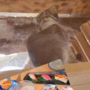 ヒメ日記 2025/09/30 22:01 投稿 ミホ エピソード(品川)