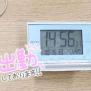 ヒメ日記 2023/10/15 15:01 投稿 ウタ エピソード(品川)