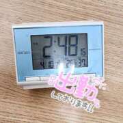 ヒメ日記 2025/04/10 15:16 投稿 ウタ エピソード(品川)