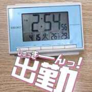 ヒメ日記 2025/04/15 15:01 投稿 ウタ エピソード(品川)