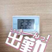 ヒメ日記 2025/05/04 15:16 投稿 ウタ エピソード(品川)