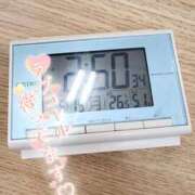 ヒメ日記 2025/05/19 15:16 投稿 ウタ エピソード(品川)