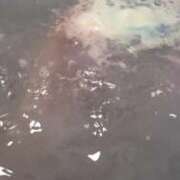 ヒメ日記 2025/08/24 21:01 投稿 ウタ エピソード(品川)