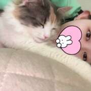 ヒメ日記 2025/04/09 14:31 投稿 アリサ エピソード(品川)