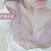 ヒメ日記 2025/11/16 10:57 投稿 あやか DIVAセカンドシーズン